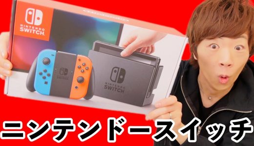 【新発売】セイキン宅にもニンテンドースイッチがやってきた！！【Nintendo Switch】