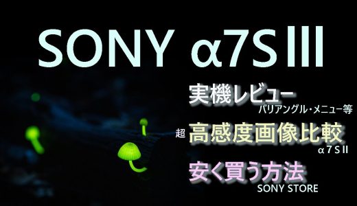 SONY α7SⅢ 超高感度画像比較。実機レビュー。安く買う方法。a7s3 α7siii