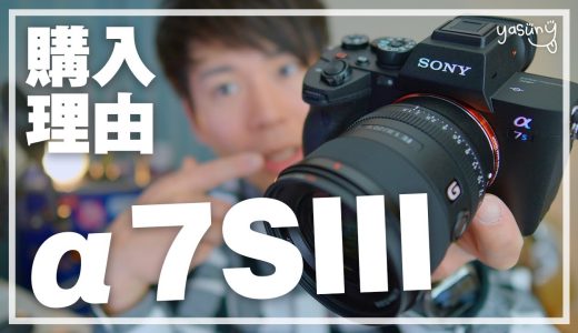 【SONY α7S III】動画用カメラとしてa7s3を購入した理由