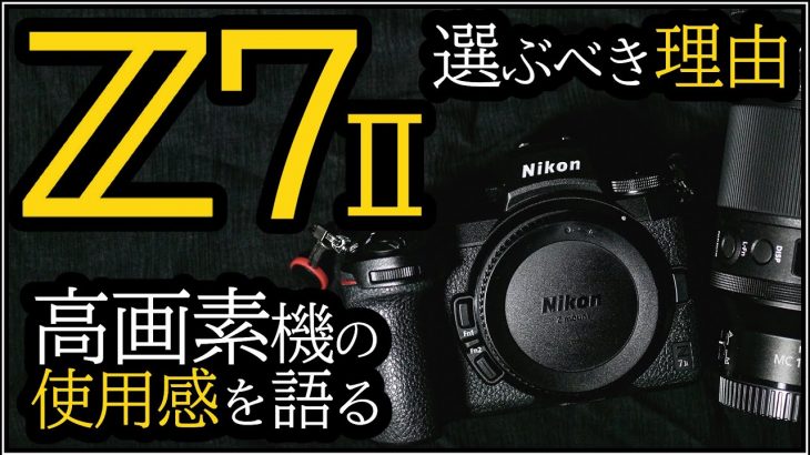 Nikon Z7II 高画素のフルサイズミラーレス一眼カメラの使用レビュー。【1カ月使って気づいた魅力や注意点を語る】