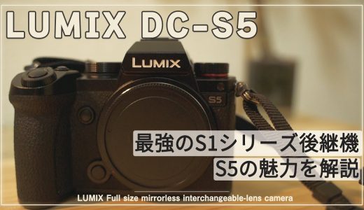 【LUMIX S5】フルサイズミラーレス最高峰 S1シリーズの後継機を実機レビュー | スペックなど詳細を解説