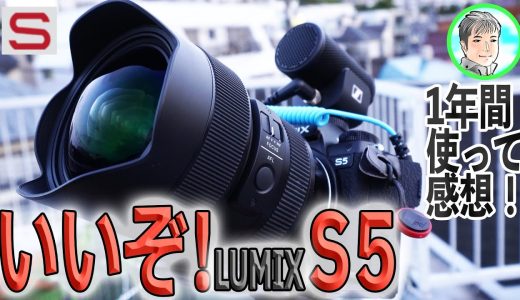 【使いやすい！】「LUMIX S5」おすすめフルサイズカメラ1年間使い良し悪しを検証【コンパクトなフルサイズ】