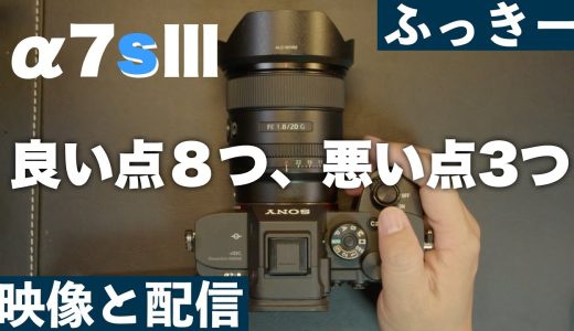 【α7sⅢ】1年半使って感じた良い点８つ、悪い点３つ 長期レビュー（バリアングルがよぉぉぉ）