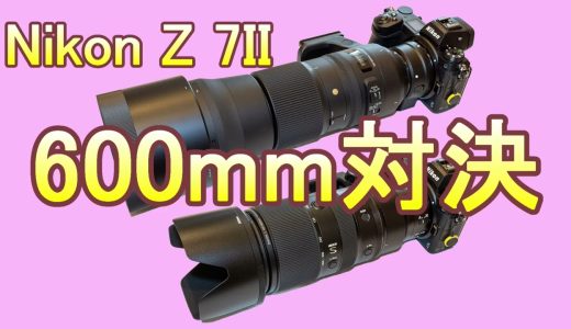 Nikon Z 7II 600mm対決（Eng Sub）