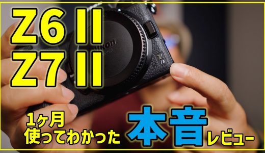 【本音レビュー】Z6ⅡとZ7Ⅱを1ヶ月使ってわかったメリットとデメリット