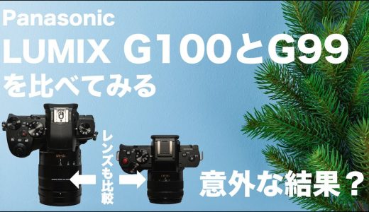 【意外な結果？】LUMIX G100とG99を比べてみる。２つのボディに標準レンズとライカ DG VARIO-ELMARIT 12-60mmを付けてみて画質比較#g100 #g99 #lumix