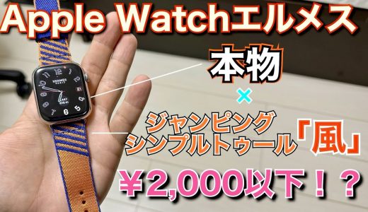 【Apple Watch Hermès信者レビュー】¥2,000の偽物ジャンピングシンプルトゥールをアマゾンで買ってみた！