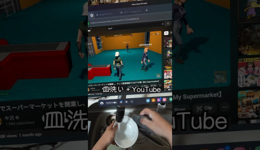 Meta Quest3を買う前に見て