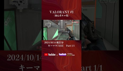 VALORANT Day1 初心者キル集 #valorant   #ゲーミングpc  #shorts #twitch  #遠藤景  #kei_end