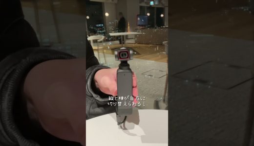 【重宝】手のひらサイズの4Kカメラを紹介！【DJI Pocket 2】#pr #ユーチュー部 #youtubeshorts