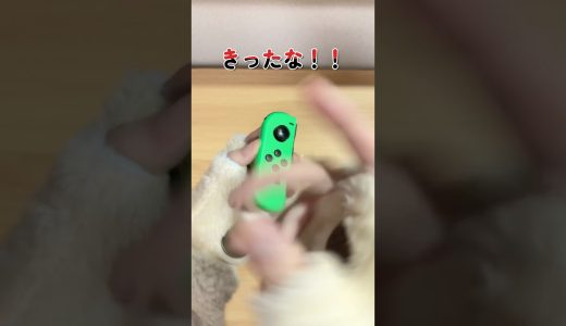 ベタベタジョイコンを買った結果…【スイッチ】【Nintendo Switch】