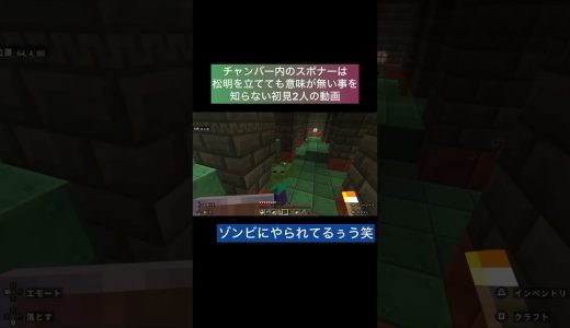 スポナー祭り... #Minecraft　#マイクラ　#マインクラフト　#ゲーム実況