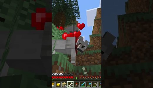 【マイクラ】初めての狼【強い】  #マイクラ #minecraft #ゲーム実況