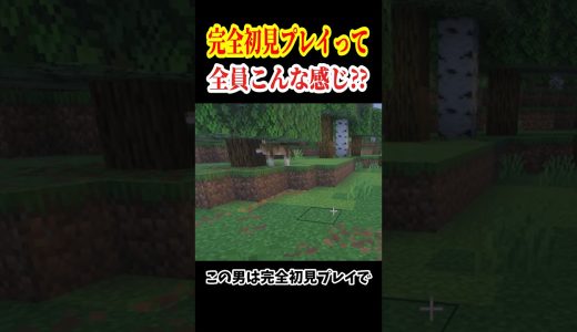 目も当てられないドタバタ実況#shorts #gaming #マイクラ #ゲーム実況 #おすすめ