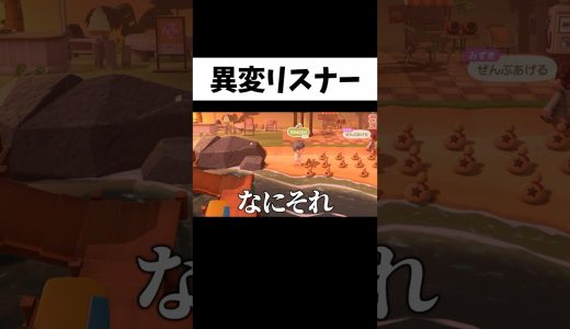 最後に異変が起きる視聴者の島に行った結果 #あつまれどうぶつの森 #あつ森 #ゲーム実況 #shorts