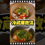 冷蔵庫整理🍚唐辛子まみれご飯。-ダイエット22日目-～ゲーム実況者と猫の生活～