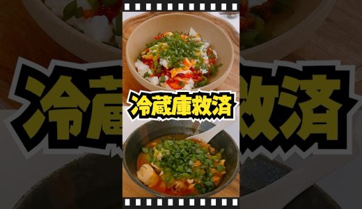 冷蔵庫整理🍚唐辛子まみれご飯。-ダイエット22日目-～ゲーム実況者と猫の生活～