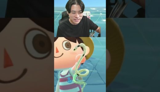 チンアナゴの名前の由来wwww ＃あつもり ＃マイクラ ＃ゲーム実況 ＃シャオメイ