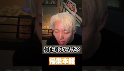 プロゲーマーすぎる癖 #ゲーム実況 #スプラトゥーン3 #GON切り抜き