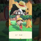 千葉県のミヤマクワガタwww　＃あつもり ＃ゲーム実況 ＃シャオメイ ＃マイクラ