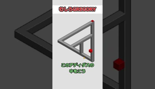 皆はどっちに見える？？？【hocus】 #ゲーム #ゲーム実況