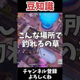 99%知らない釣りスポットｗ#フォートナイト #Fortnite#ゼロビルド#ゲーム実況#ショート #shorts