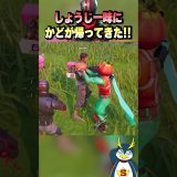 かどがしょうじ一味に返ってきた！ #フォートナイト #ゲーム実況
