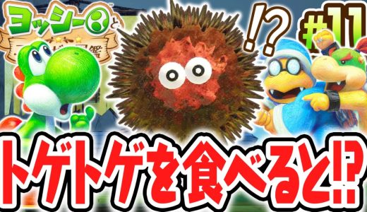 痛いけど美味しい!?海エリアでチクチクさんを調査せよ!!Switch2で最速実況Part11【ヨッシーとフカシギの図鑑】