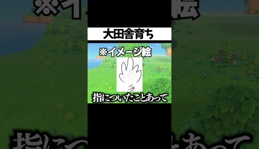 【あつ森】大田舎育ち #ゲーム実況 #shorts