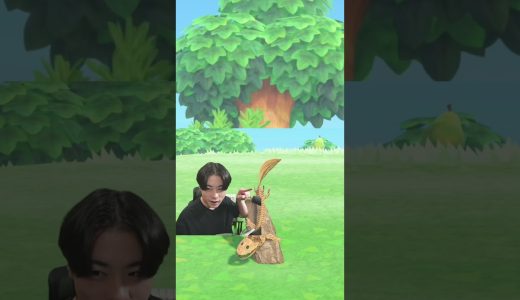 なにこの可愛いの　＃シャオメイ ＃ゲーム実況 ＃あつもり ＃マイクラ