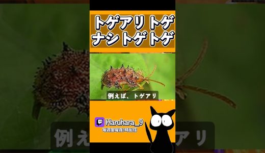 【OW2】トゲアリトゲナシトゲトゲ #shorts #ゲーム実況 #オーバーウォッチ2