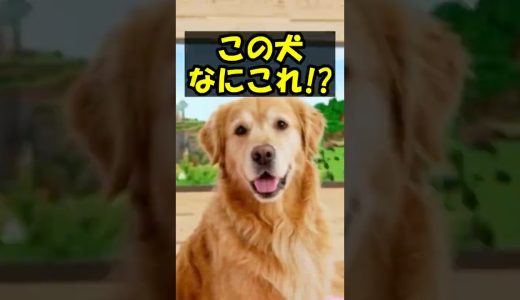 犬と遊ぶホラーゲームが怖すぎる！！ #shorts #ゲーム #ゲーム実況 #minecraft