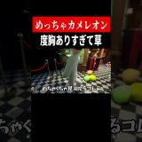天才なのか！？【めっちゃカメレオン】　#shorts　#ゲーム実況